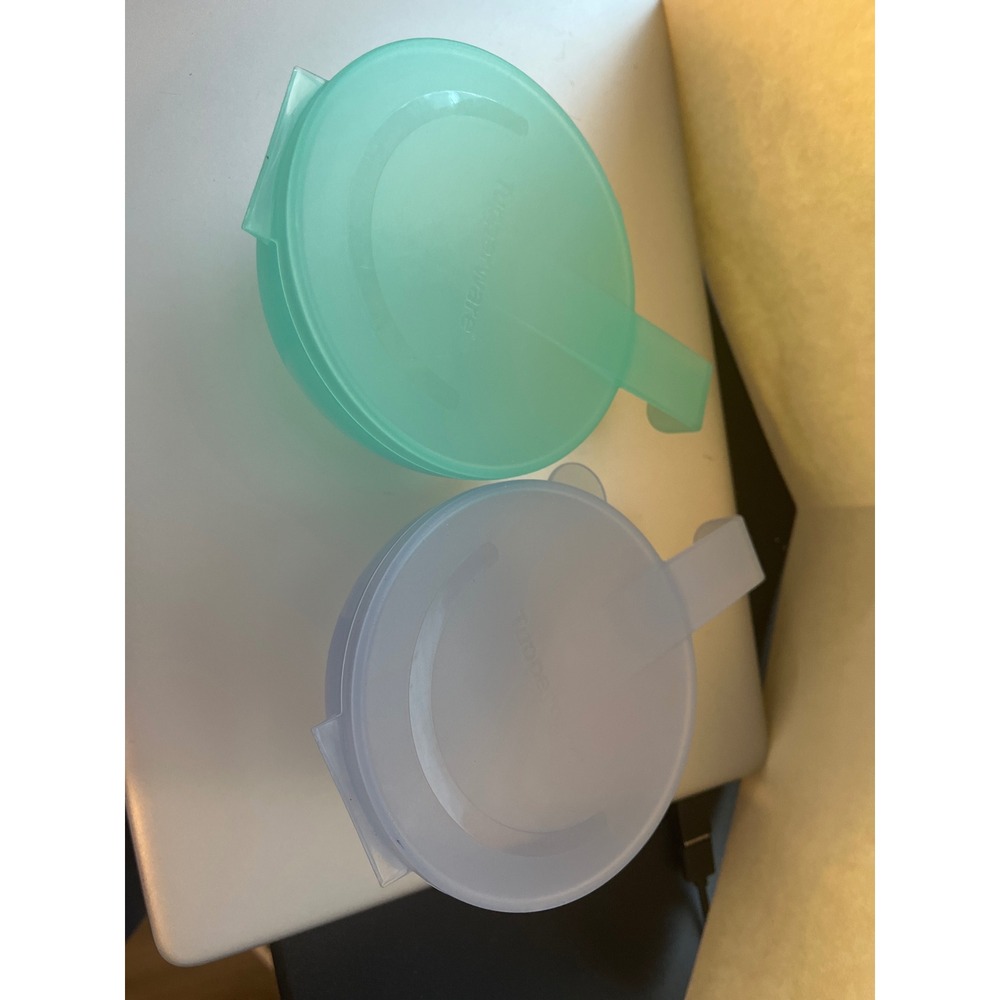 Tupperware Forget Me Not Hanging Fridge Containers Set of 2 Blue Green 3108